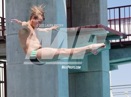 Thumbnail 1 in CIF Diving Finals photogallery.