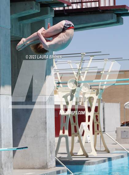 Thumbnail 3 in CIF Diving Finals photogallery.