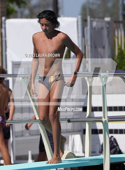 Thumbnail 1 in CIF Diving Finals photogallery.