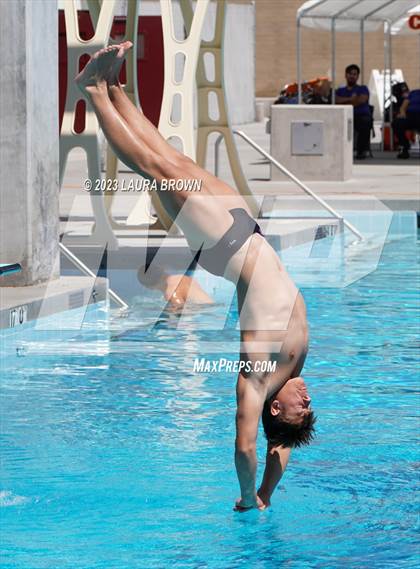 Thumbnail 2 in CIF Diving Finals photogallery.