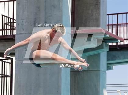 Thumbnail 2 in CIF Diving Finals photogallery.