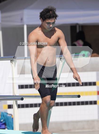 Thumbnail 1 in CIF Diving Finals photogallery.