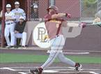Photo from the gallery "Torrey Pines @ Point Loma"