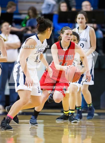 Thumbnail 1 in Lincoln County vs. White Pine (NIAA 2A Final) photogallery.