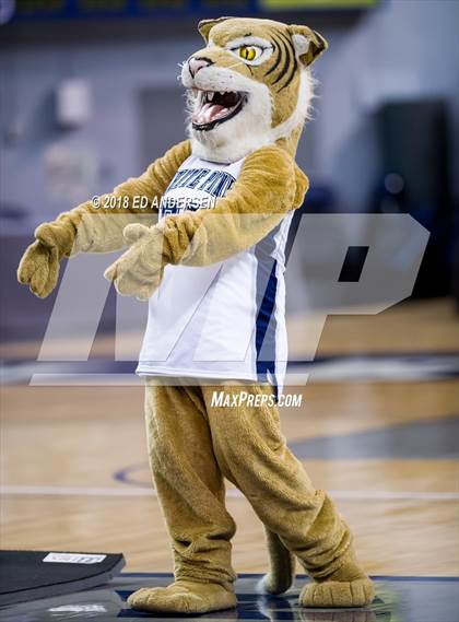 Thumbnail 3 in Lincoln County vs. White Pine (NIAA 2A Final) photogallery.