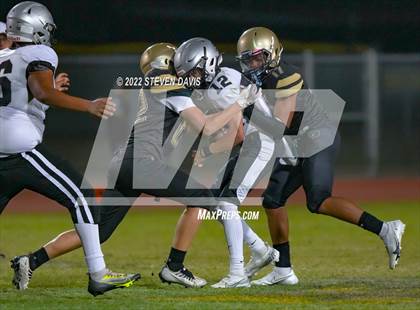 Thumbnail 1 in Hamilton vs Basha photogallery.