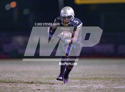 Thumbnail 2 in Hamilton vs Basha photogallery.