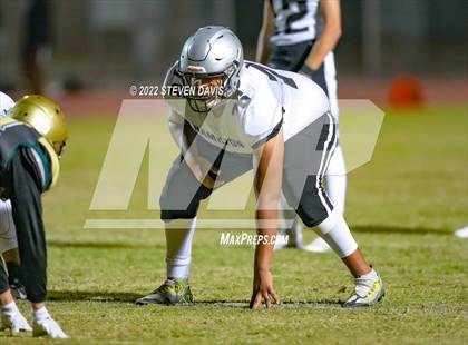 Thumbnail 1 in Hamilton vs Basha photogallery.