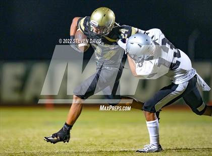 Thumbnail 3 in Hamilton vs Basha photogallery.