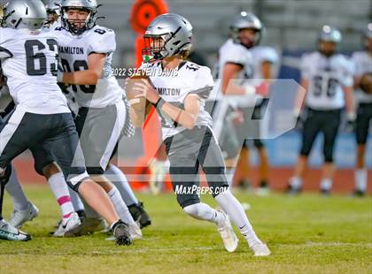 Thumbnail 2 in Hamilton vs Basha photogallery.