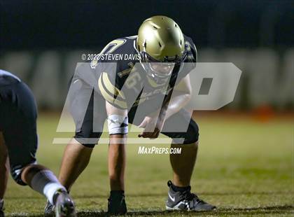 Thumbnail 3 in Hamilton vs Basha photogallery.