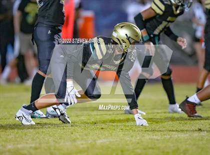 Thumbnail 3 in Hamilton vs Basha photogallery.