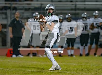 Thumbnail 2 in Hamilton vs Basha photogallery.