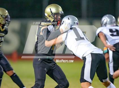 Thumbnail 3 in Hamilton vs Basha photogallery.