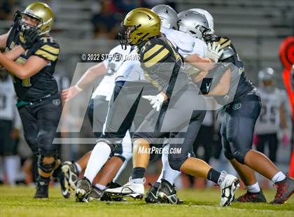 Thumbnail 1 in Hamilton vs Basha photogallery.
