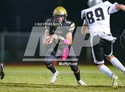 Thumbnail 3 in Hamilton vs Basha photogallery.