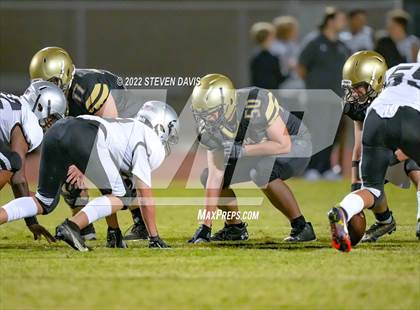 Thumbnail 1 in Hamilton vs Basha photogallery.