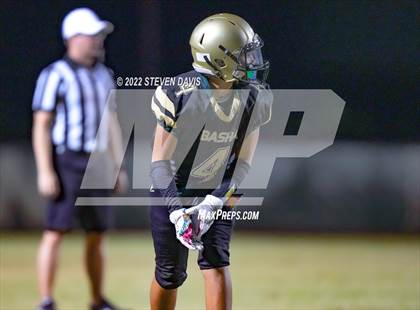 Thumbnail 3 in Hamilton vs Basha photogallery.