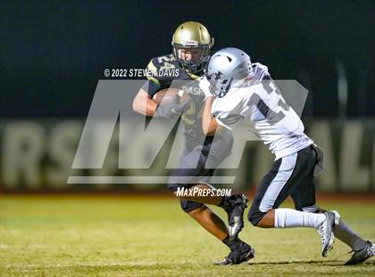 Thumbnail 2 in Hamilton vs Basha photogallery.