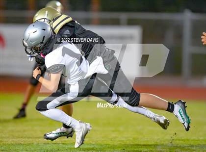 Thumbnail 3 in Hamilton vs Basha photogallery.