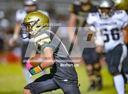 Thumbnail 2 in Hamilton vs Basha photogallery.