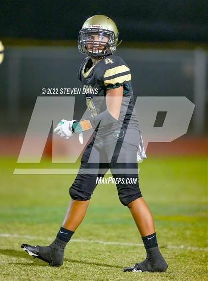 Thumbnail 3 in Hamilton vs Basha photogallery.