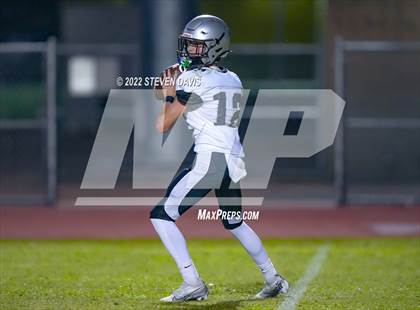 Thumbnail 1 in Hamilton vs Basha photogallery.
