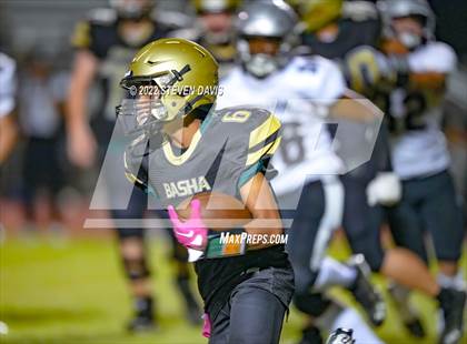 Thumbnail 1 in Hamilton vs Basha photogallery.