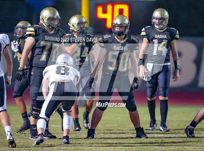 Thumbnail 1 in Hamilton vs Basha photogallery.