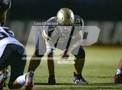 Thumbnail 1 in Hamilton vs Basha photogallery.