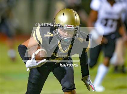 Thumbnail 3 in Hamilton vs Basha photogallery.