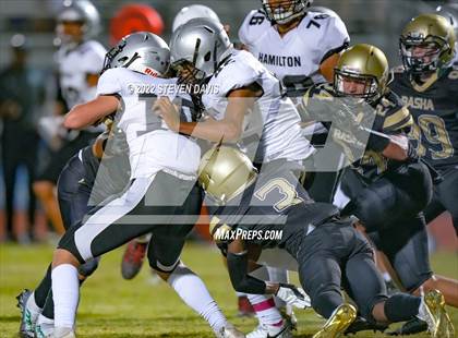 Thumbnail 2 in Hamilton vs Basha photogallery.