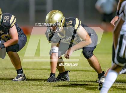 Thumbnail 3 in Hamilton vs Basha photogallery.