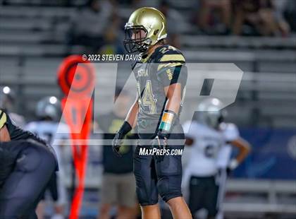 Thumbnail 1 in Hamilton vs Basha photogallery.