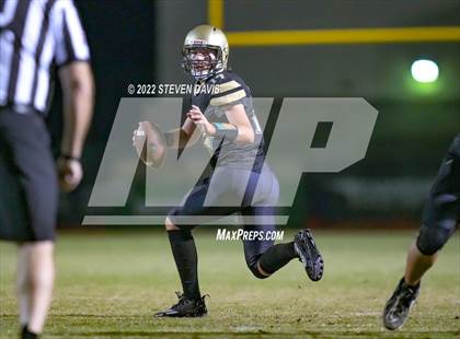 Thumbnail 1 in Hamilton vs Basha photogallery.