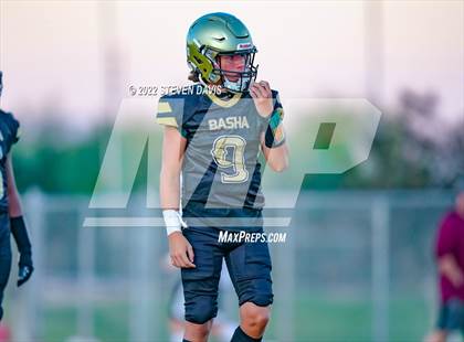 Thumbnail 1 in Hamilton vs Basha photogallery.