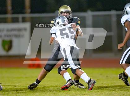Thumbnail 2 in Hamilton vs Basha photogallery.