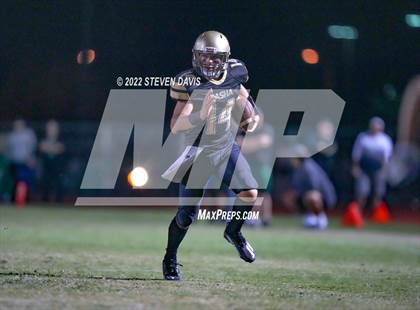 Thumbnail 1 in Hamilton vs Basha photogallery.