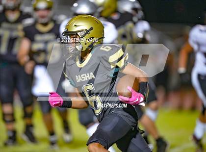 Thumbnail 3 in Hamilton vs Basha photogallery.