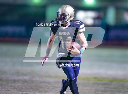 Thumbnail 3 in Hamilton vs Basha photogallery.