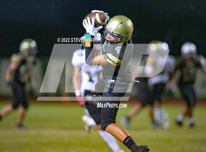 Thumbnail 1 in Hamilton vs Basha photogallery.