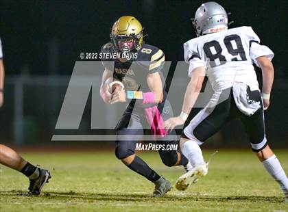 Thumbnail 1 in Hamilton vs Basha photogallery.