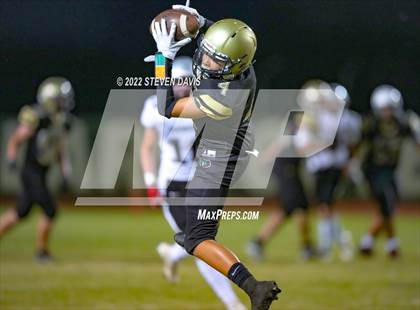 Thumbnail 3 in Hamilton vs Basha photogallery.