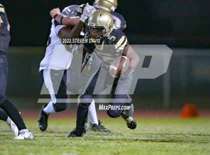 Thumbnail 2 in Hamilton vs Basha photogallery.