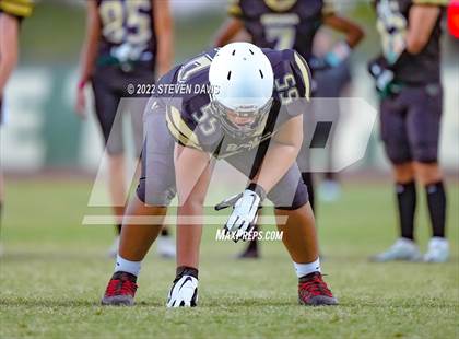 Thumbnail 1 in Hamilton vs Basha photogallery.