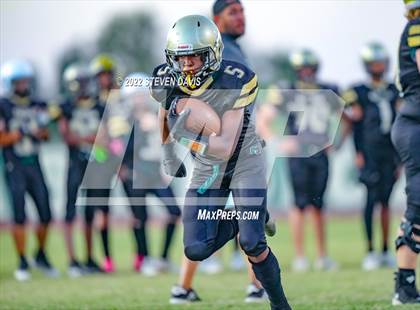Thumbnail 3 in Hamilton vs Basha photogallery.