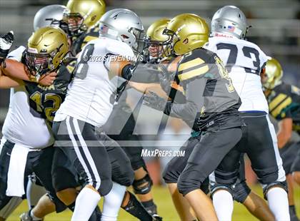 Thumbnail 2 in Hamilton vs Basha photogallery.