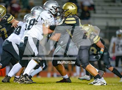 Thumbnail 2 in Hamilton vs Basha photogallery.