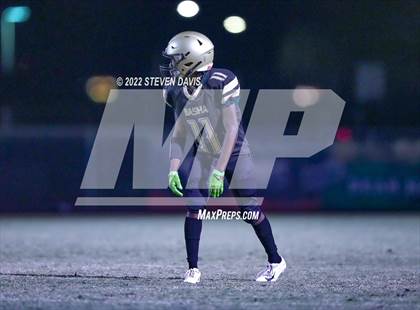 Thumbnail 3 in Hamilton vs Basha photogallery.