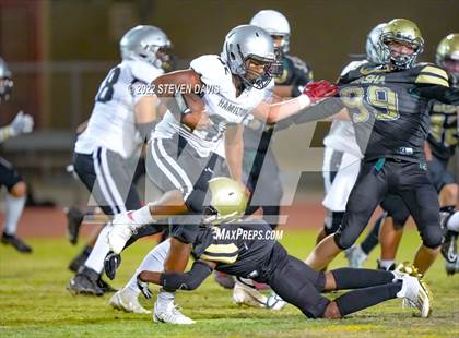 Thumbnail 3 in Hamilton vs Basha photogallery.